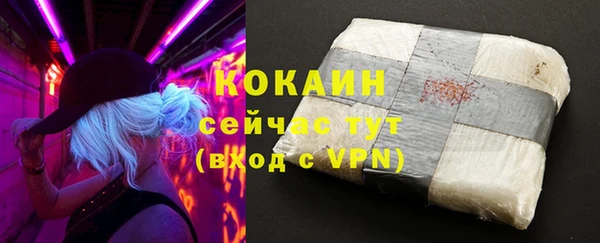 эйфоретик Белокуриха