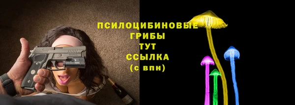 эйфоретик Белокуриха