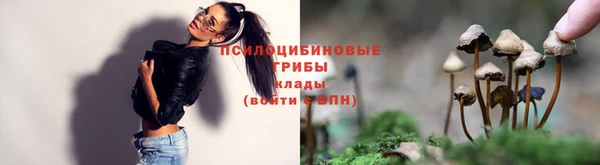 эйфоретик Белокуриха