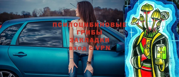 эйфоретик Белокуриха