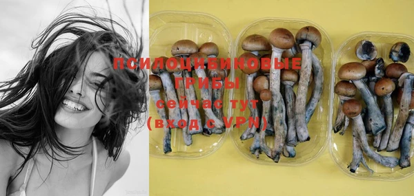 PSILOCYBIN Белоозёрский