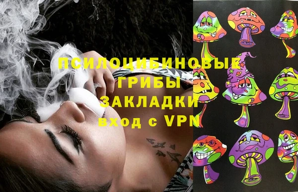 PSILOCYBIN Белоозёрский